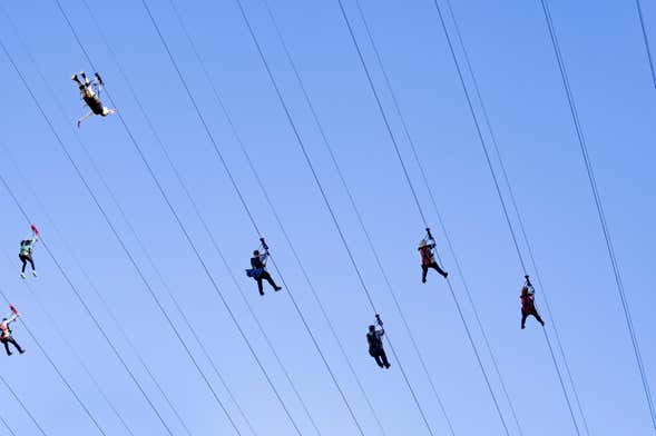 Biglietti per Fly LINQ