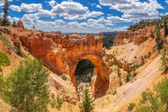 Escursione ai canyon di Zion e Bryce