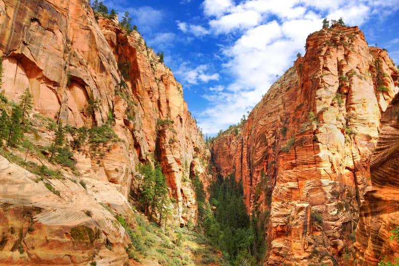 Parco Nazionale di Zion, Utah