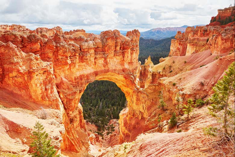 Vista sul Bryce Canyon